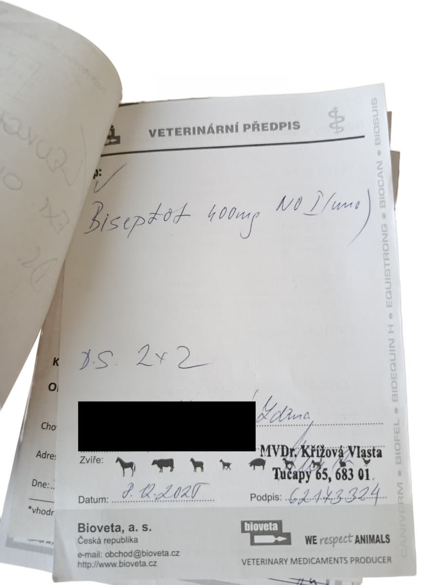 2026-08-04-recepty-vlasta-křížová-3a.jpg